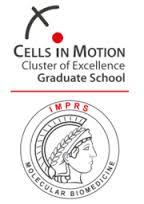 CiM IMPRES Graduate School CiM IMPRES Graduate School